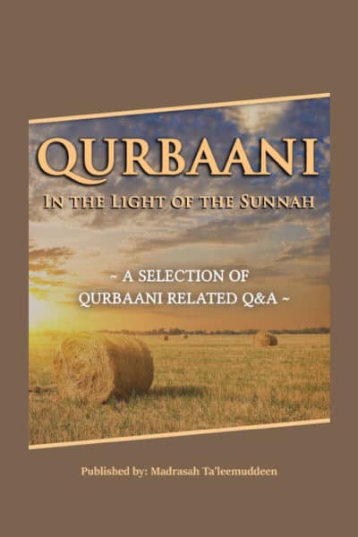 Qurbaani